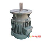 YEZ160 MOTOR