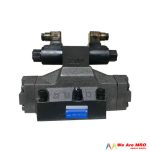 DSHG-06 check valve