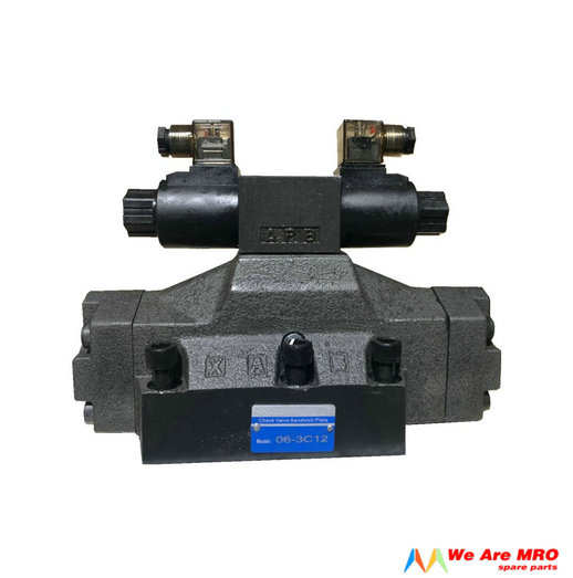 DSHG-06 check valve