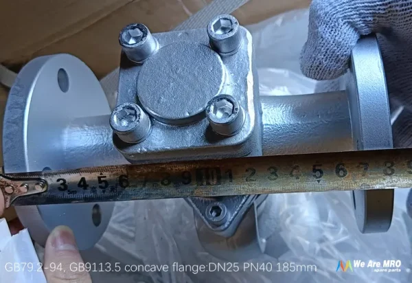VP2W-FR 25A Piston Valve